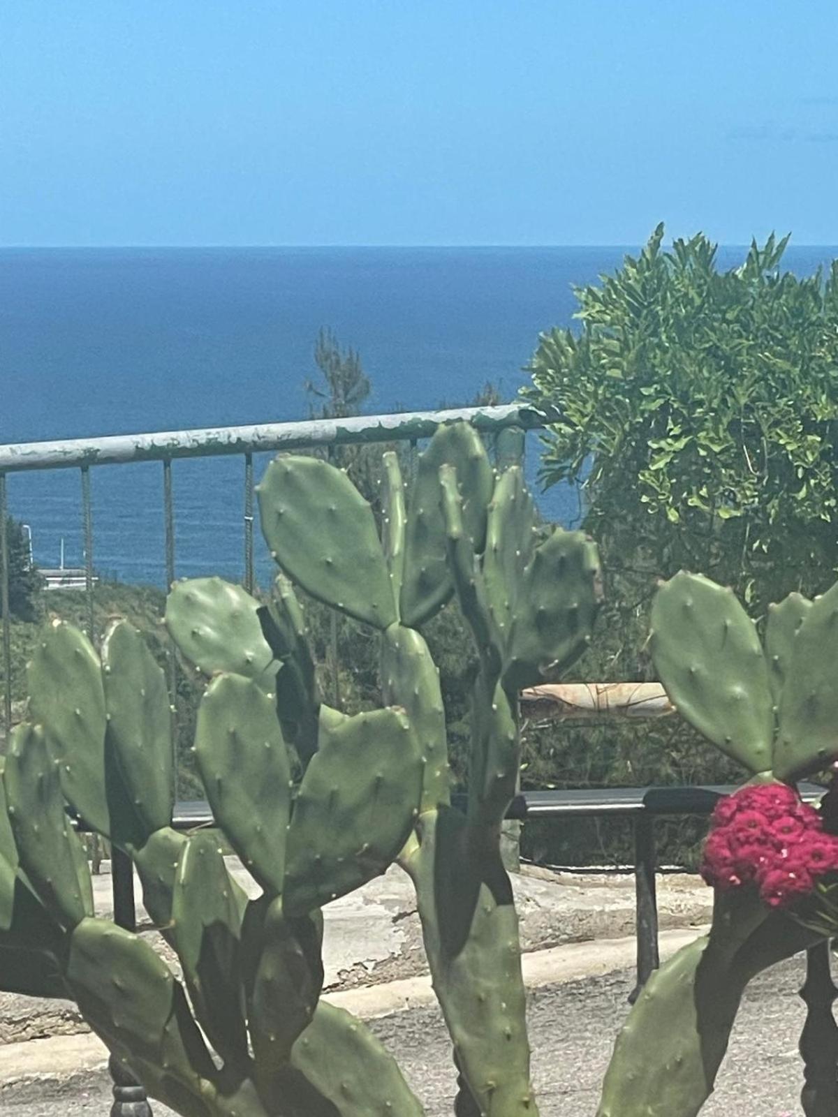 פסקיצ'י Casa Sundaville מראה חיצוני תמונה