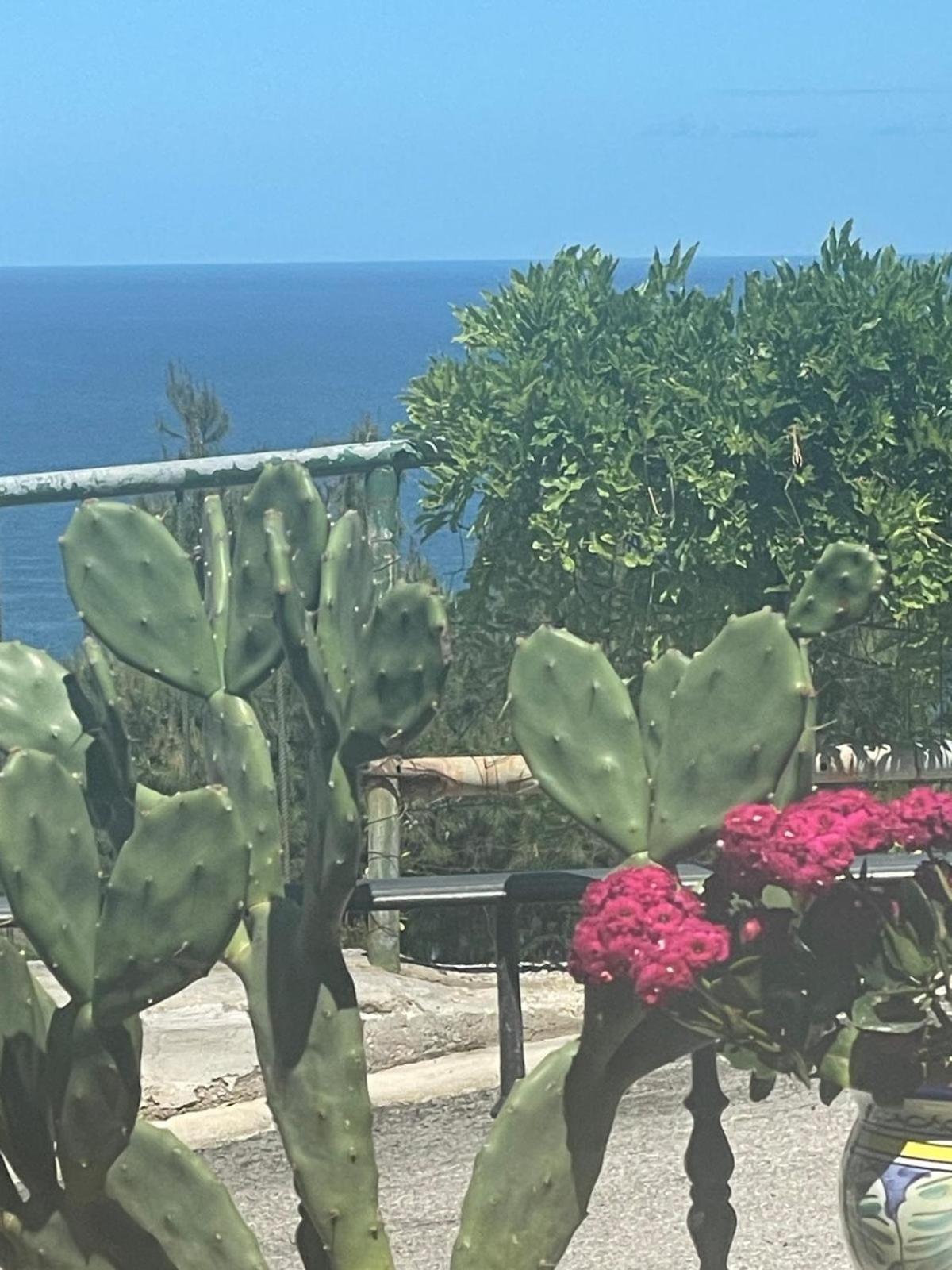 פסקיצ'י Casa Sundaville מראה חיצוני תמונה